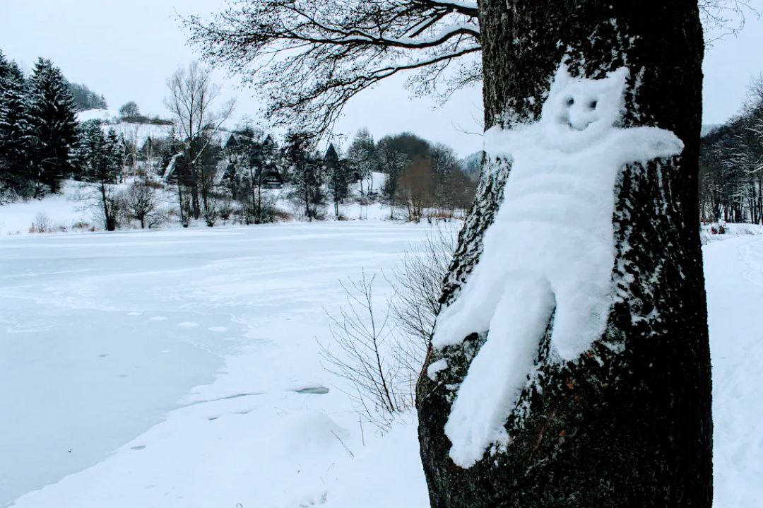 Eine Schneekatze